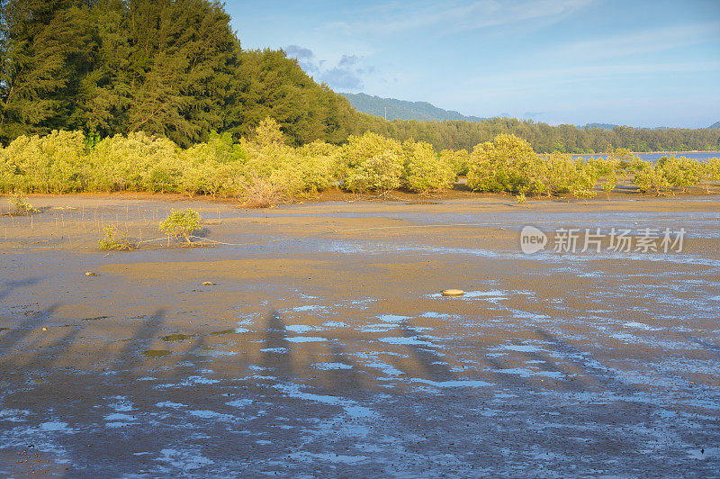 旅游之旅在美丽的海滩koh mook trang泰国